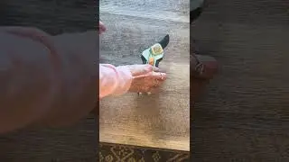 Quick Look at PrunePro Pruning Shears