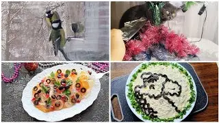 28 декабря 2025 г Краматорск. УТРО/ Летал, гудел и💥Оформление салата🐴Арабский салат👍Буся и фольга😺🙂