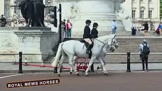 Why The King&rsquo;s Guard Uses Horses (Cavalry Blacks, Windsor Greys & More)
