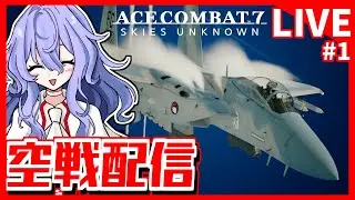 【空戦】modの機体で暴れよう！！ #1【ACE COMBAT7】