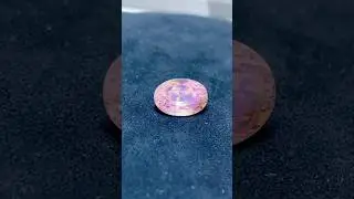 NATURAL UNTREATED PADPARASCHA (KING) SAPPHIRE GEMSTONE #gemstone #sapphire #padparadscha _sapphire