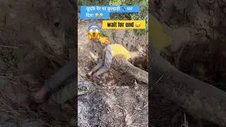 खुदके पैर पर कुल्हाड़ी 🪓 मार दिया 😂😂|| #comedy #ytshorts #trending #funny #comedyvideo #fun