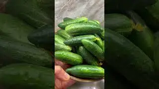 🥒🥒🥒До сих пор не верю, что это все происходит на моей кухне😍😍😍 #garden #vegetable #cucumber