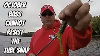SHALLOW BASS IN OCTOBER- Tube Snapping is deadly!