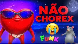 N&Atilde;O CHORA - N&atilde;o Chorax N&atilde;o &eacute; Pra Chorar (Funk Remix) Sr.Robin