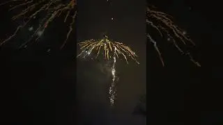 31. Dezember 2024