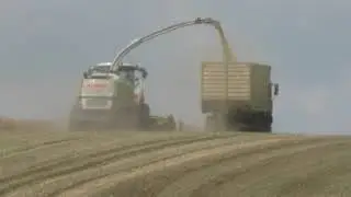 GPS mit XXL HARVEST &ndash; mit Claas Jaguar 980 DIRECT DISC 600 P  Gro&szlig;einsatz  auf dem Acker mit 15 Fahr
