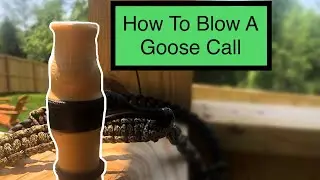 How To Blow A GOOSE CALL For BEGINNERS!
