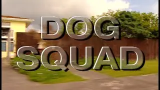 DOG SQUAD_Inside New Zealand