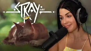 Le jeu le plus mignon EVER 🥹 | STRAY #1
