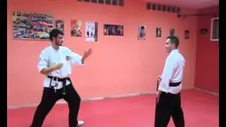 TESINA 4&ordm; DAN YAWARA JITSU JOSE ANTONIO MARTINEZ MARTINEZ