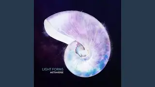Light Forms