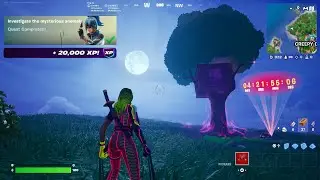 Fortnite - Investigate The Mysterious Anomaly (Story Quests)
