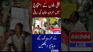 People raised slogans for the release of Imran Khan #shorts