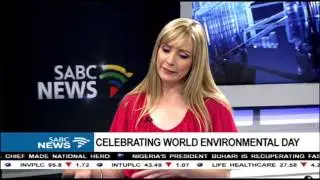 Celebrating World Environmental Day