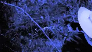 Zombie Hunter DVD trailer OFFICIAL
