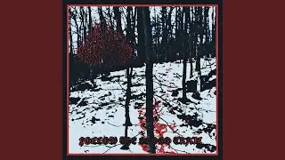 Follow the Blood Trail