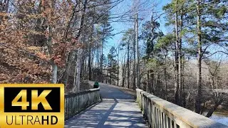 Walking the Lake Johnson West Loop Trail | 4K Virtual Walk in Raleigh North Carolina