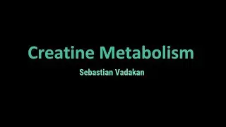 Creatine metabolism