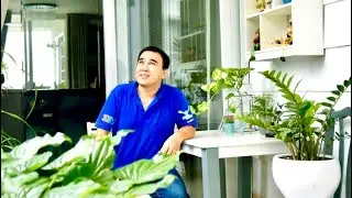 Quyền Linh thu hoạch xà lách. Ngắm sắc xanh bao quanh nhà...