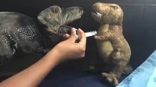 SDK movie:Douglas&rsquo;s Sickness!