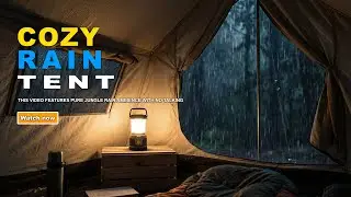 Cozy Tent Rain Ambience & Heavy rain  | Sleep & Relax
