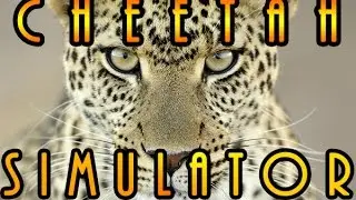 Cheetah Simulator (IOS, Android) Gameplay #1 - because you've always wanted to be one -