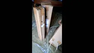 Unboxing - my first order from Nurserylive !!! | nurserylive