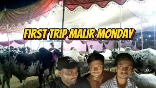 First trip Malir Mandi  update the latest rate of malir mandi #mandiupdates #foryou #like #mustwatch