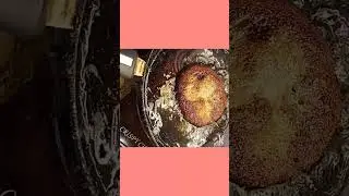 Homemade Chicken Burger Patty Recipe Frozen Chicken Patty Recipe Kitchen Wit😳😎❤️👩&zwj;🍳