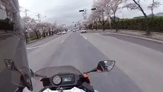 Cherry Blossom Ride 2015 [HD 1080p60]