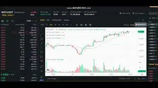 + 25  %  LIVE  dogwifhat  WIF  Price  - LIVE  dogwifhat WIF  NEWS -dogwifhat WIF ONG Price Chart