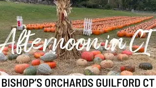 Bishops orchards farm market Guilford CT fall 2021 walk through tour