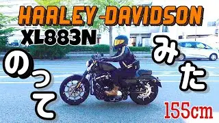 [XL883N] Кабунуши ездит на Харлее своей мечты/SOLTO
