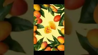 Mango Smoothie
