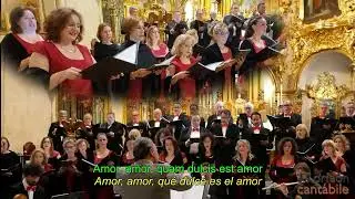 QUAM DULCIS EST AMOR. Adap Carlos Catal&aacute;. CANT&Aacute;BILE  Bas&iacute;lica de Santa Mar&iacute;a ALICANTE 14-12-2024