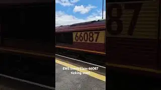EWS livery class 66087 ticking over at Eastleigh. #train #britishrailways #railway