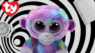 I Dream of Beanie Boos: Zuri Part 1