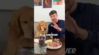 Mr beast challenge zabardast reaction 2 #shortsfeed ##shorts #food #mrbeast #reactionvideo #duet