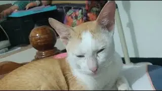 shashasha 0709 is live!hi friend's vaanga pesalam 🥰 I will come🎶😂😂😂❤🎉🥰