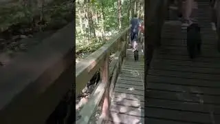 Sentier des Cascades d'Ham-Nord