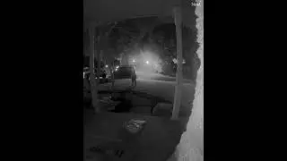 Amazon delivery driver reacts to animated 13 ft. Jack Skellington