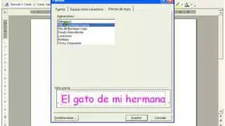 EFECTO DE TEXTO
