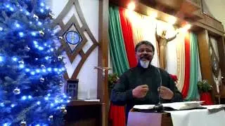 Jesse Tree - Advent Reflection on December 23, 2025