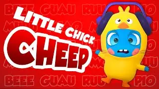 🐣 The Little Chick Cheep 🐥 Il Pulcino Pio 🐤 Official cover by Baby Moonies