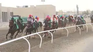 الاجتماع 13 الشوط الثالث الجواد باجد لاسطبل العضيلةوالعرو
