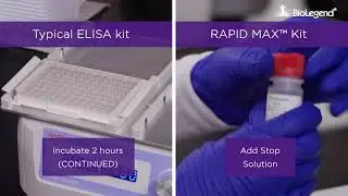 RAPID MAX&trade; Kit: How fast is it compared to a typical ELISA kit?