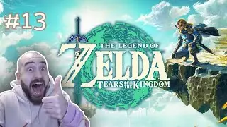 FULMINI - LEGEND OF ZELDA TEARS OF THE KINGDOM BLIND RUN con brojllo parte #13