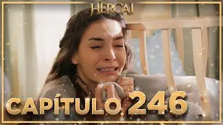 Hercai - Capítulo 246