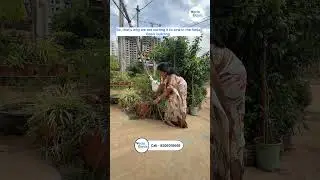 🏡🌿 Is This the Healthiest Gift from Veda NRI to Veda Oasis?